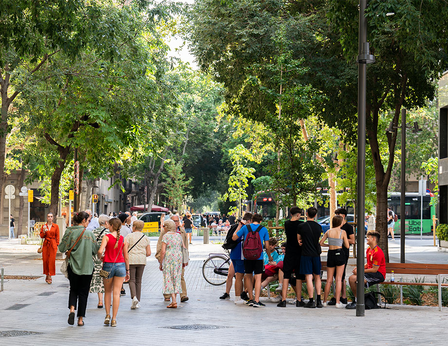 THE BARCELONA SUPERBLOCKS: